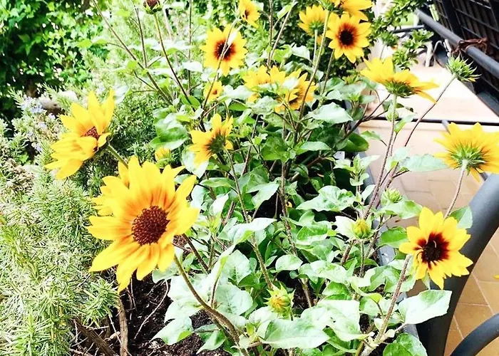 Ξενοδοχείο San Marco